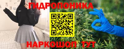 крисы Нальчик